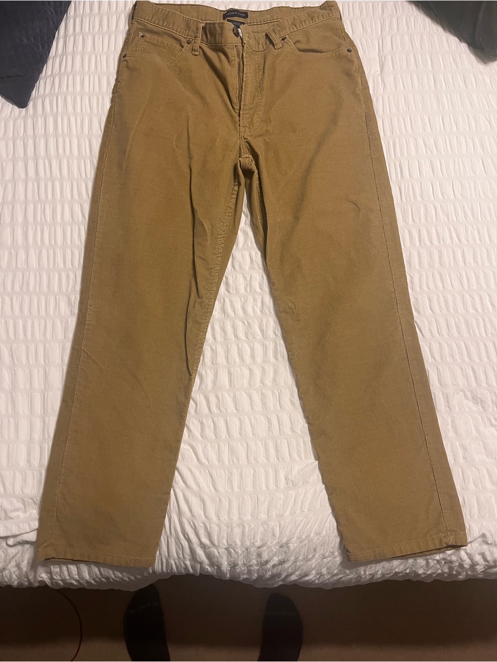 Lands' End Men's Corduroy Pants in Tan